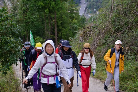 Our Autumn Team Outing